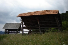 askerceva-pot_(12)