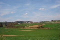 baragova-pot-8