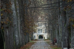 dobrna_(3)