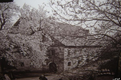 dolencice_(4)