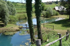 jelsevnik-2