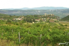 kubed_(1)