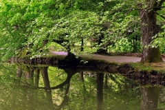 arboretum-volcji-potok