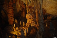 postojna-jama_(1)