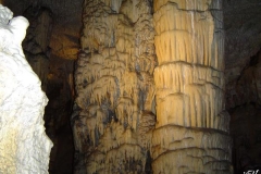 postojna-jama_(2)