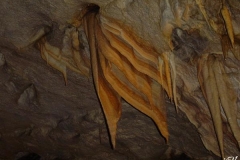 postojna-jama_(4)