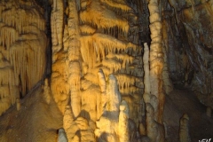 postojna-jama_(5)