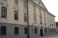 radovljica_(5)
