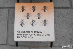 radovljica_(9)