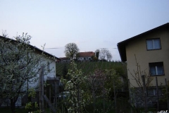 slovenske-konjice_(8)