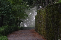 stanjel_(4)