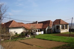trebnje_(1)