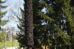 trebnje_(8)