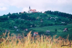 trska-gora_(1)
