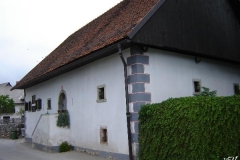 vrba_(2)