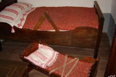 vrba_(4)