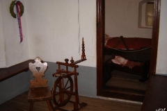 vrba_(5)