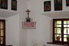 vrba_(6)