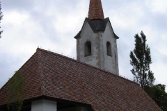 vrba_(7)