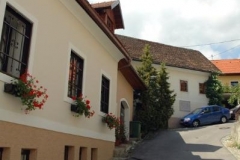 vrhnika_(4)