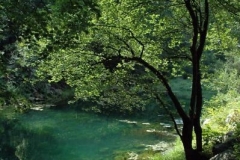 vrhnika_(6)