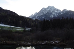 zelenci_(7)